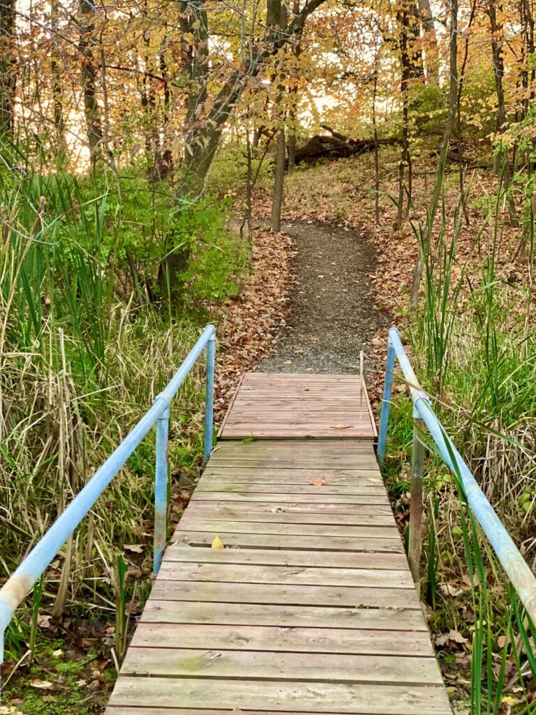 The Bridge at Charlson Meadows