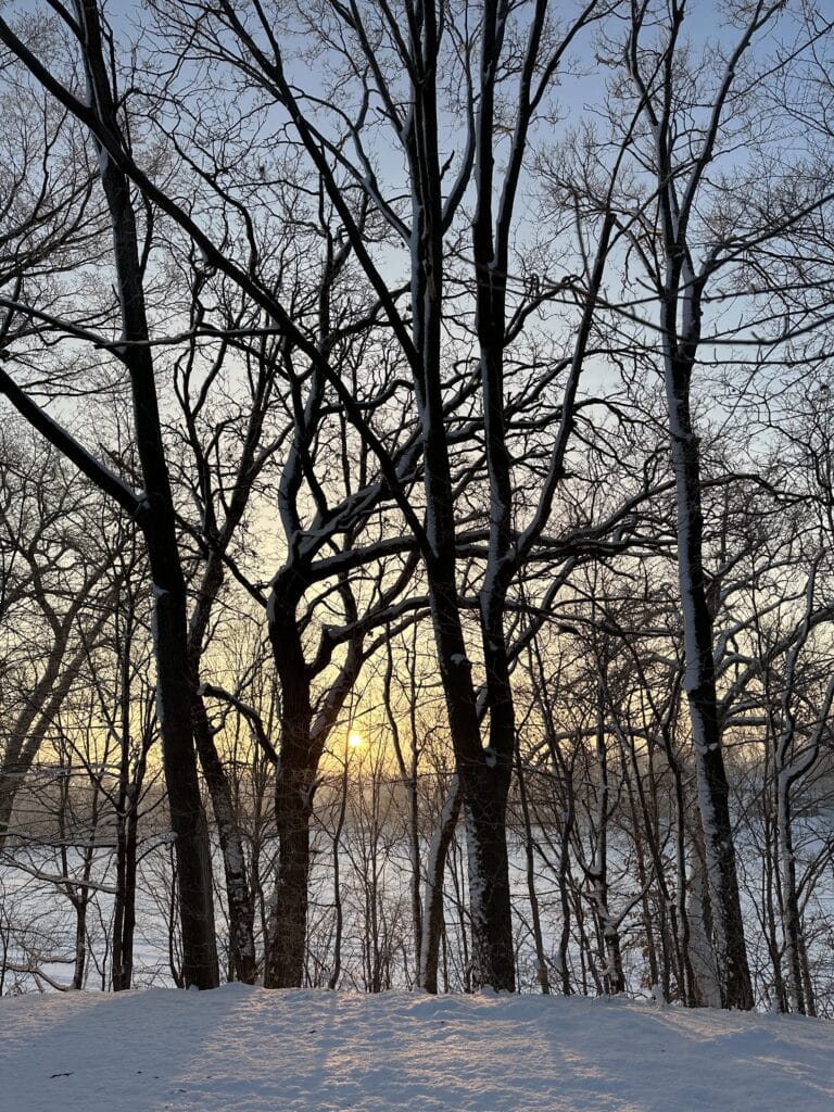 sunrise through trees