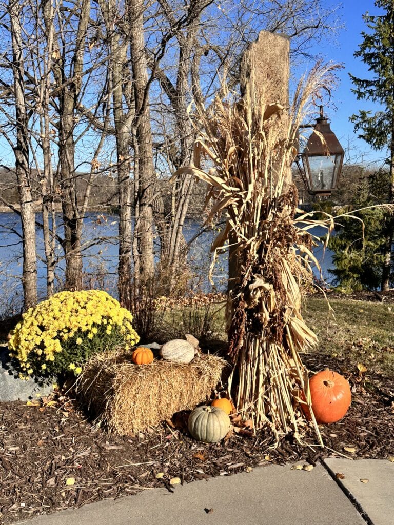 Cornstalk display at Charlson Meadows