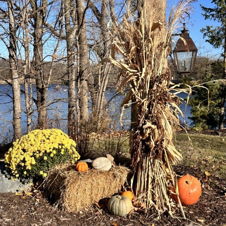 Cornstalk display at Charlson Meadows