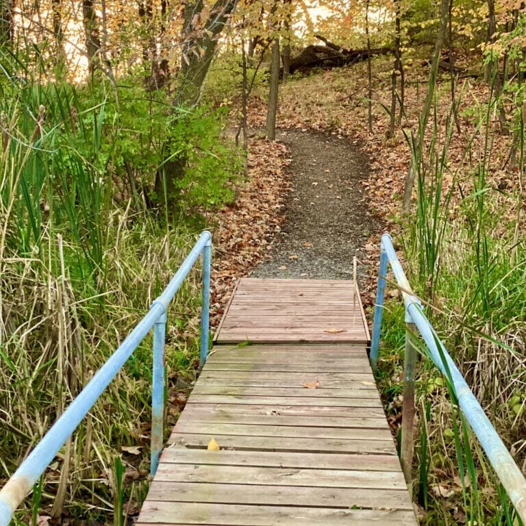 The Bridge at Charlson Meadows