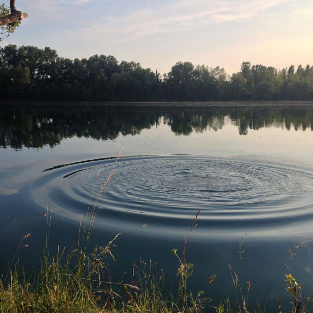 Ripple in pond