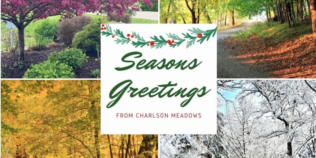 Seasons Greetings
