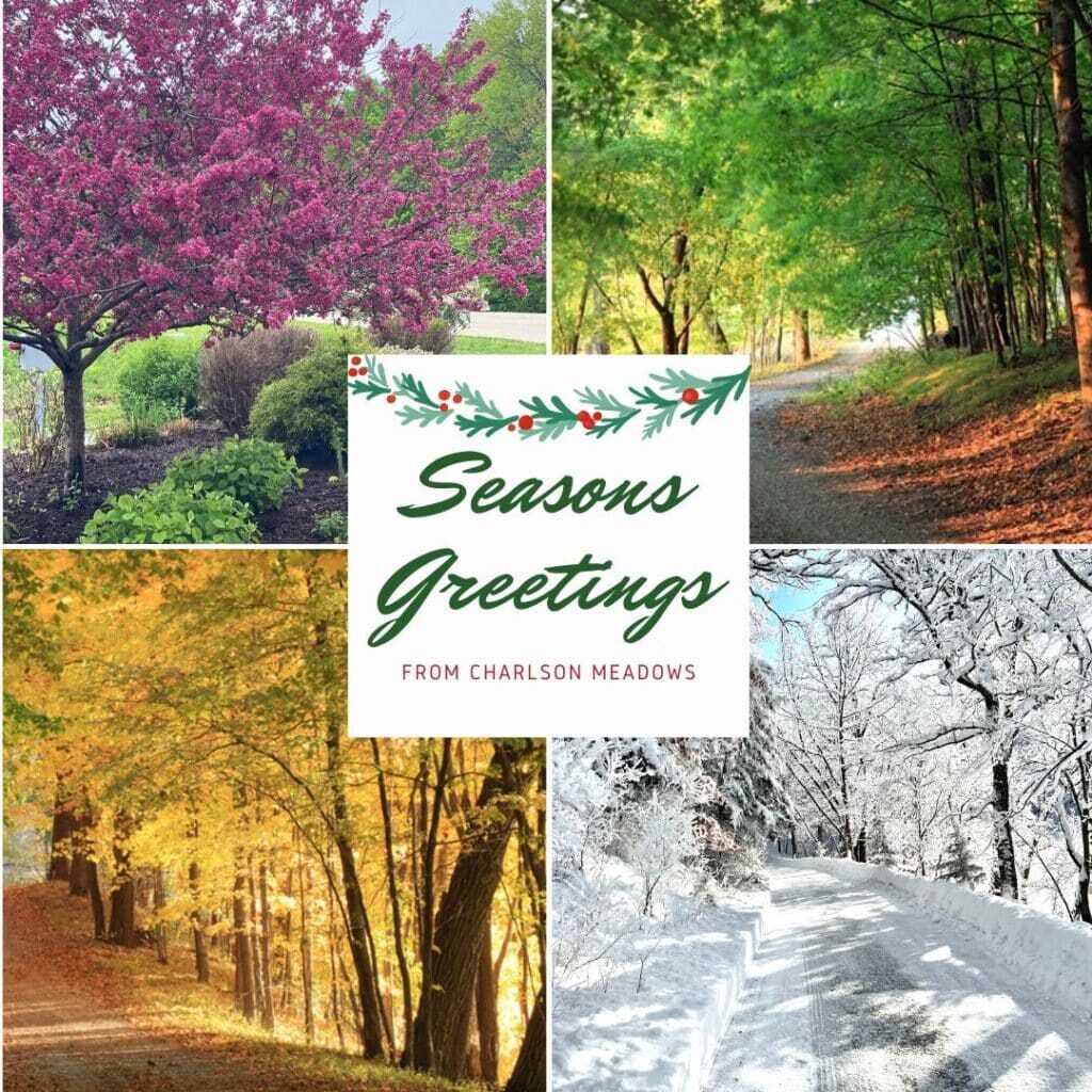 Seasons Greetings