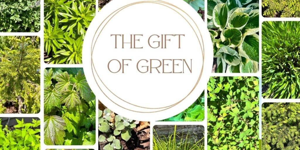 The Gift of Green-2